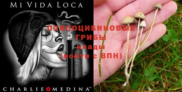 меф Алексин