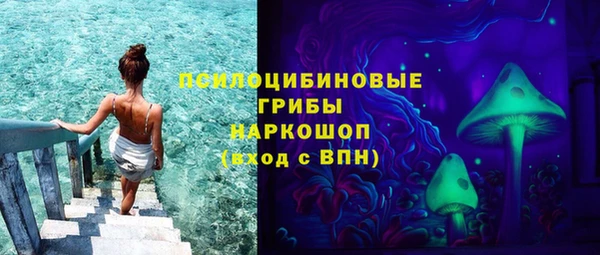 гашик Алексеевка
