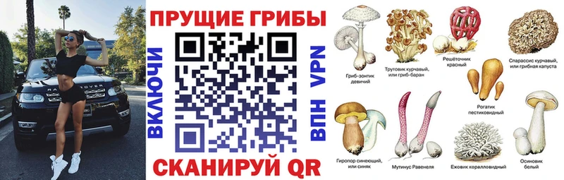 Галлюциногенные грибы MAGIC MUSHROOMS Полевской