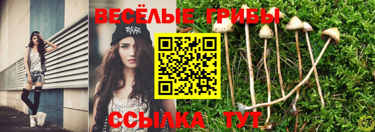 Галлюциногенные грибы Magic Shrooms Полевской