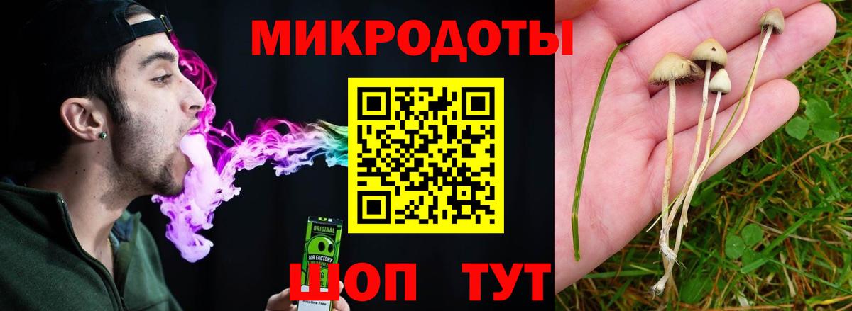 даркнет сайт  Полевской  Галлюциногенные грибы Cubensis 